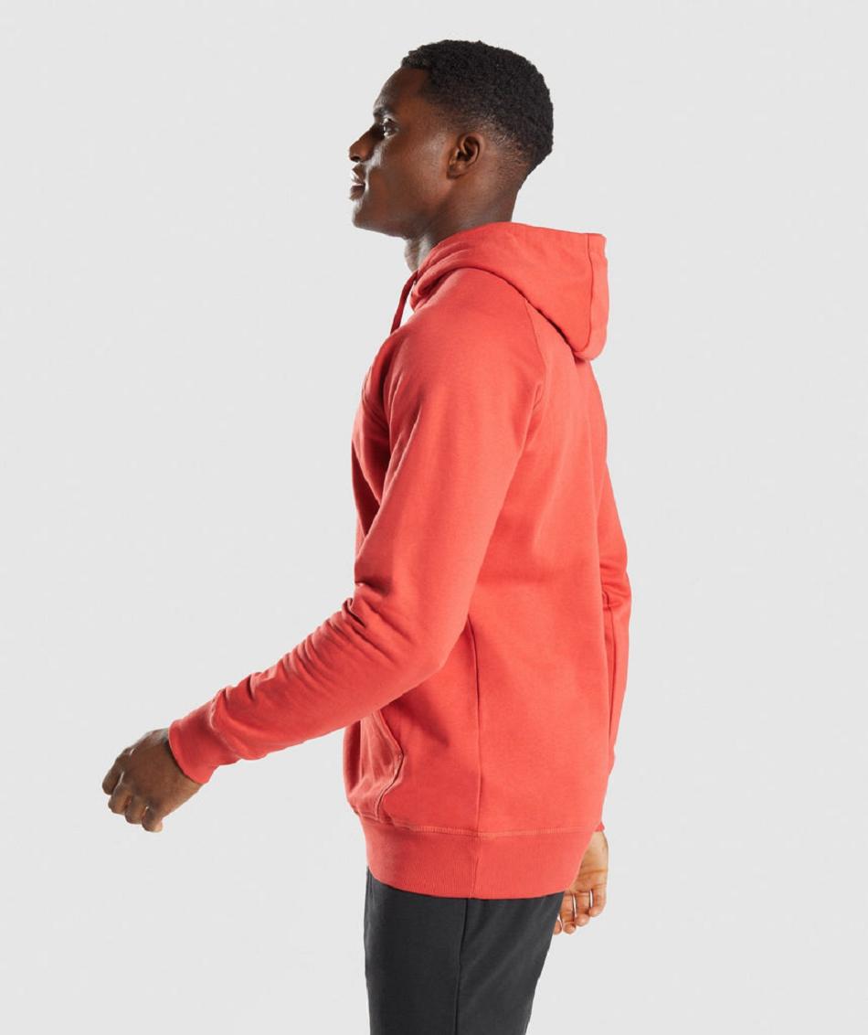 Sudadera Con Capucha Gymshark Sharkhead Infill Hombre Rojas | CO 3622XYU